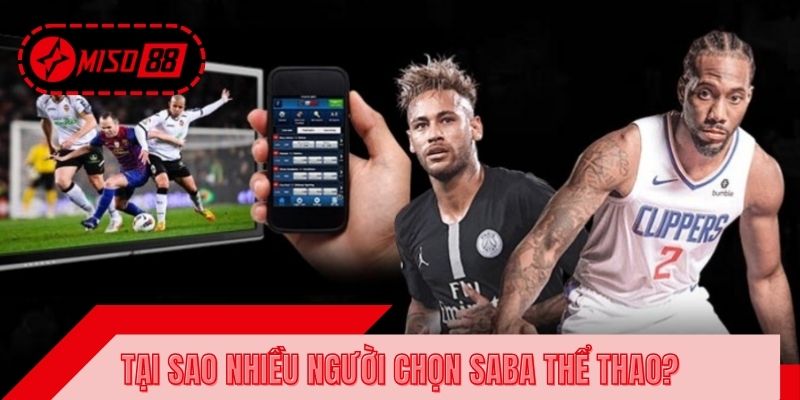 Tại sao nhiều người quyết định chọn Saba thể thao?