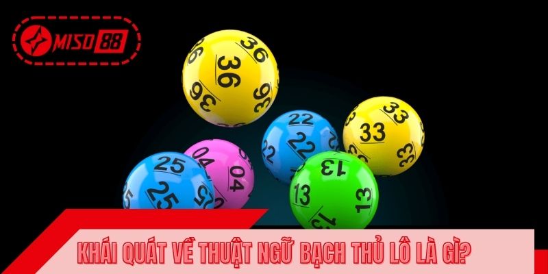 Khái quát về thuật ngữ bạch thủ lô là gì?