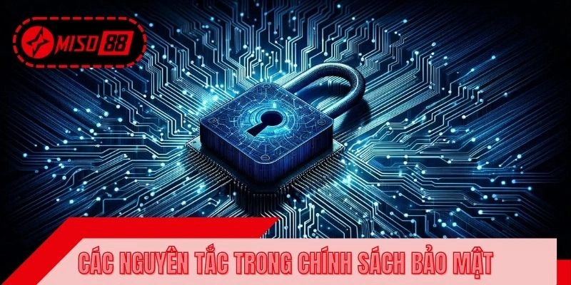 Nguyên tắc an toàn mà hội viên cần nắm