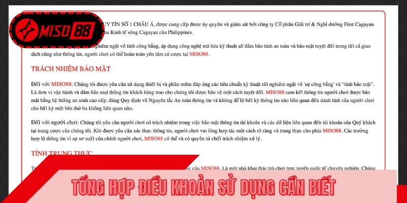 Hệ thống đặt ra những điều khoản sử dụng chung